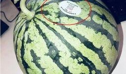 网红吃瓜一般在哪里看到,揭秘热门平台瓜圈聚集地