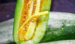 网红圈吃瓜群,揭秘娱乐圈幕后风云